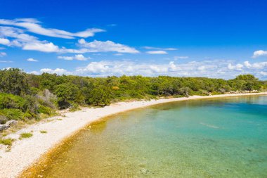 Hırvatistan 'ın inanılmaz Adriyatik kıyı şeridi, Dugi otok adası. Çam ağaçları ve uzun gizli plajlar.