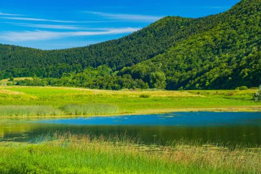 Hırvatistan 'ın Svica Gölü üzerindeki Lika bölgesinde güzel yeşil doğa manzarası 