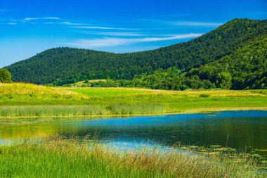 Hırvatistan 'ın Svica Gölü üzerindeki Lika bölgesinde güzel yeşil doğa manzarası 
