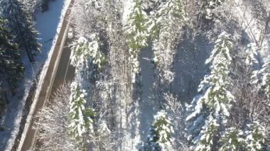 Karla kaplı arazide giden kır yolunun havadan görünüşü. Gorski Kotar, Hırvatistan.