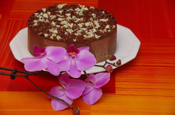 Csokoládé torta és orchidea — Stock Fotó