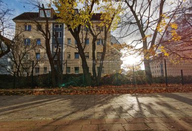 Kentsel sonbahar manzarası, konut binaları ve ağaçlar