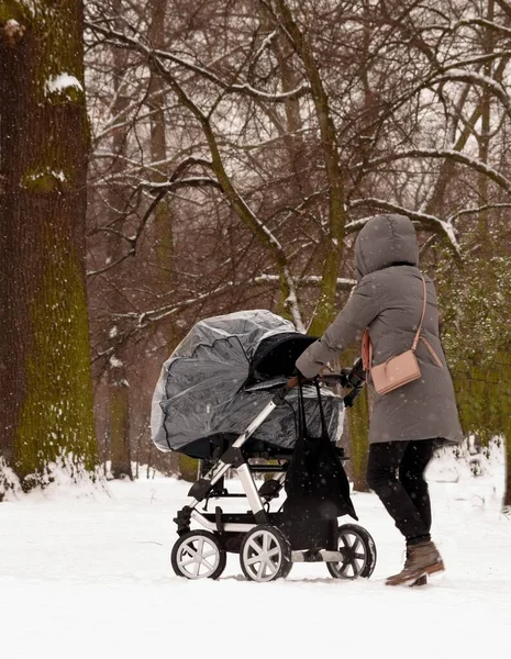 Babakocsi Séták Téli Parkban — Stock Fotó