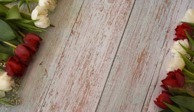 kırmızı ve beyaz laleler ahşap arkaplanda