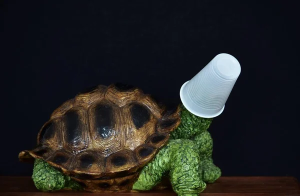 Tartaruga Decorativa Com Vidro Plástico Cabeça — Fotografia de Stock