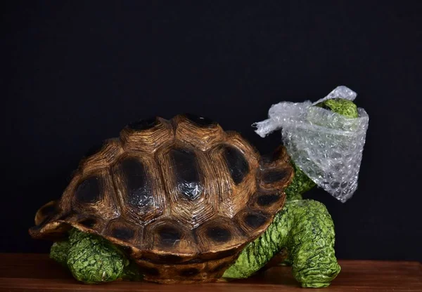 Figurine Decorative Turtle Packing Plastic Head — Stock Photo, Image