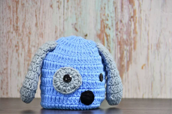 Knitted Hat Newborns Dog Decor — Stock Photo, Image