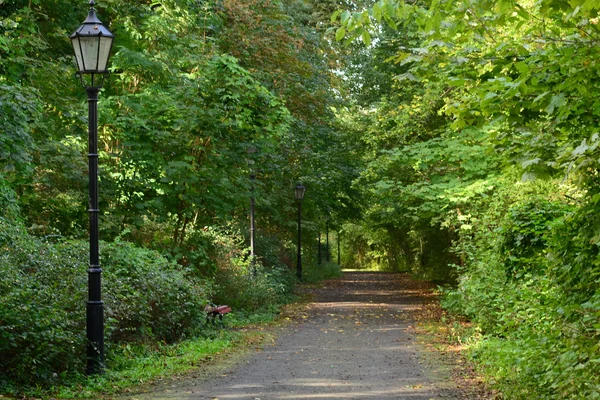 Voetpad in het park — Stockfoto