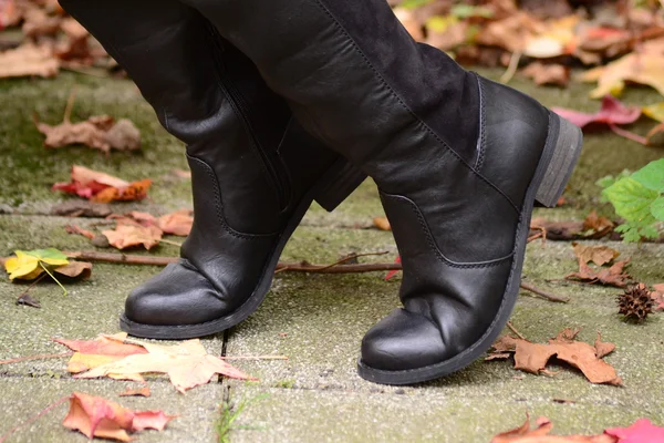 Black, dámská obuv — Stock fotografie