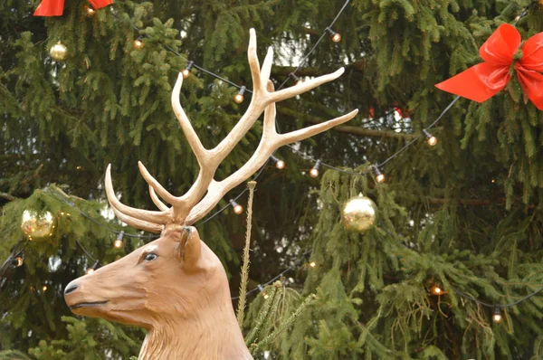 Ren geyiği ve Noel ağacı — Stok fotoğraf