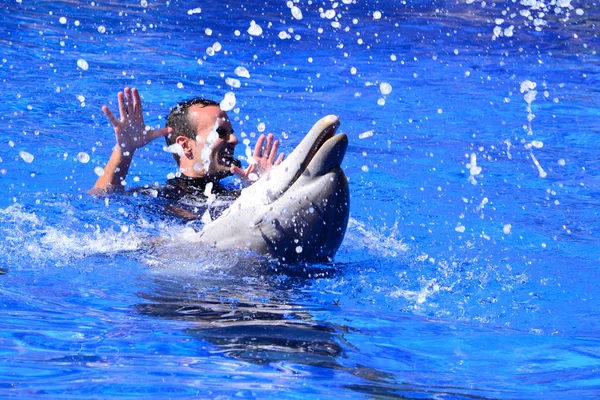 Dolphin and man — Stock Photo, Image