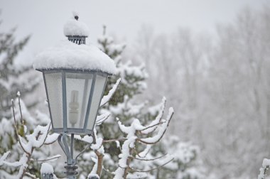 Ağaçlar ve lamba üzerinde kar