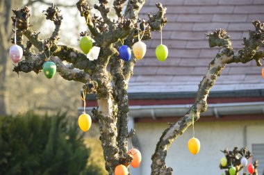 Paskalya yumurtaları