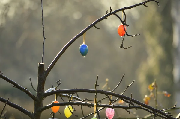 Decorative Easter — Stock Photo, Image