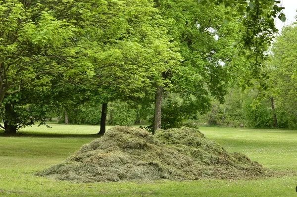 Stack av färskt hö — Stockfoto