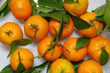 yaprakları ile clementines