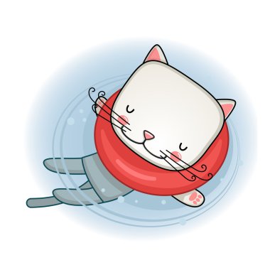 Yıkanmak için kedi gider