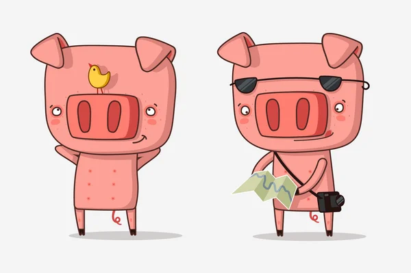 Conjunto / vetor de porco bonito — Vetor de Stock