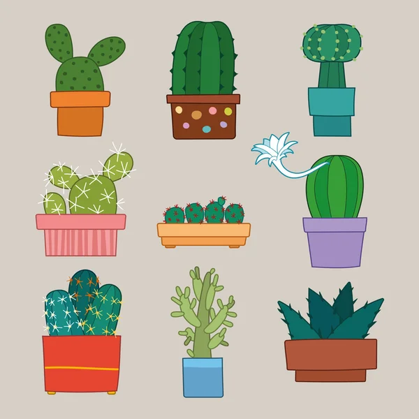 Cactus collection vector illustration — Stock Vector