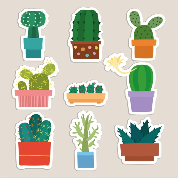 Cactus colección vector ilustración — Vector de stock