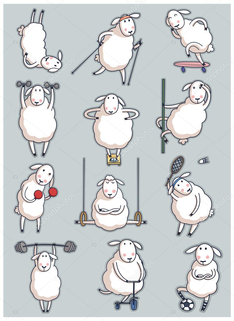 sheep. sport. set