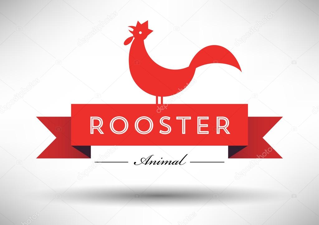 Black isolated rooster on white background