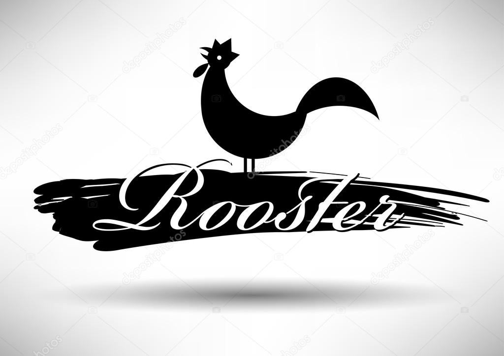 Black isolated rooster on white background