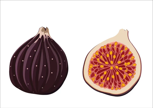 Bütün incir ve onun yarısı