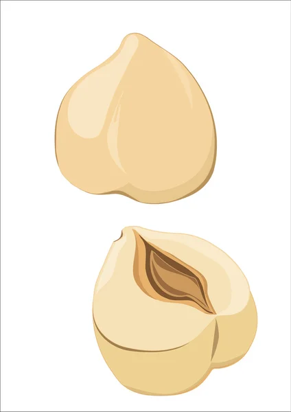 Noisette entière et sa moitié — Image vectorielle