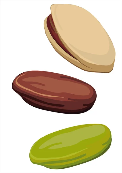 Pistacho en cáscara y pelado — Vector de stock