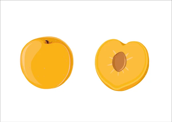 Prune jaune, fruits isolés — Image vectorielle