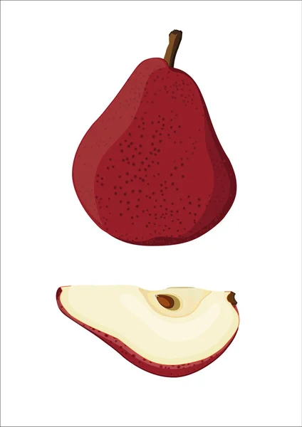 Rode peren, fruit geïsoleerd — Stockvector