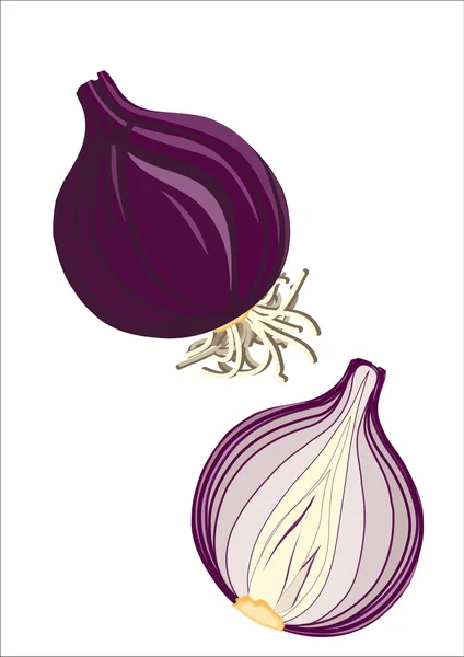 taze kırmızı soğan