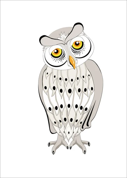 Baykuş beyaz ve gri