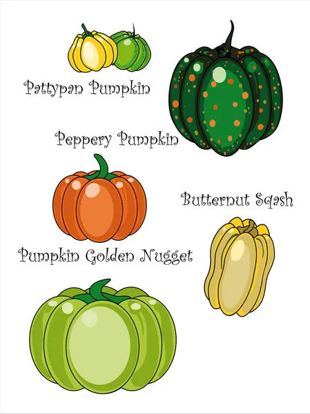 Kabak farklı nitelikleri