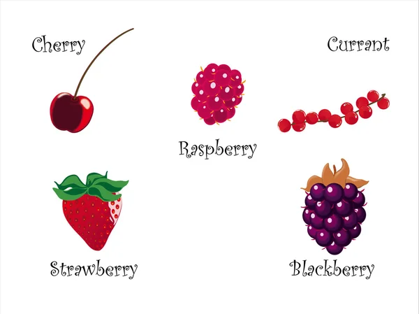 Kimlik kartı kırmızı meyve