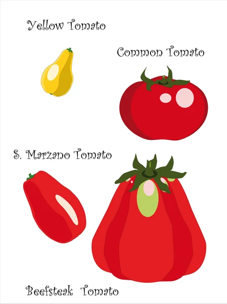 Kimlik kartı domates