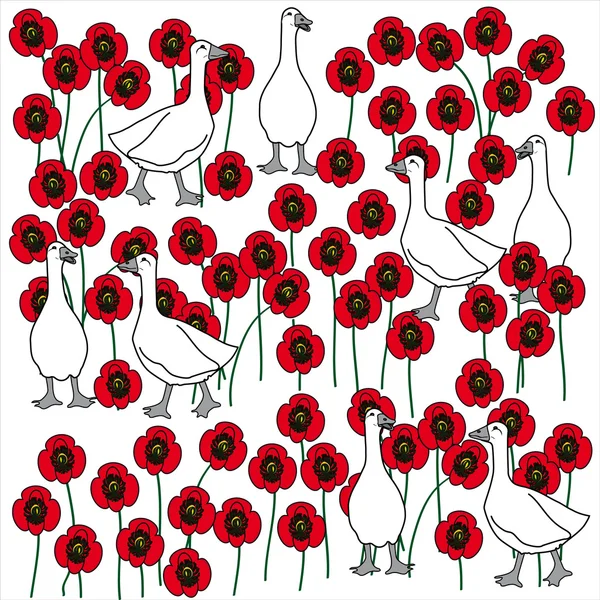 Doku haşhaş ve ördekler