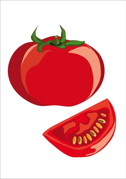Красный помидор — стоковый вектор