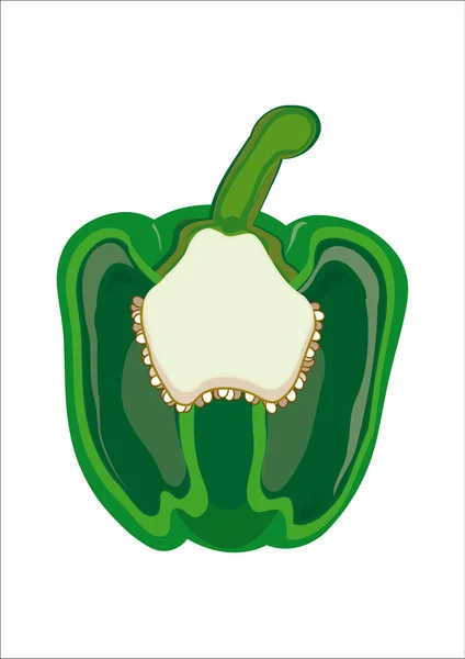 Section de poivre vert — Image vectorielle