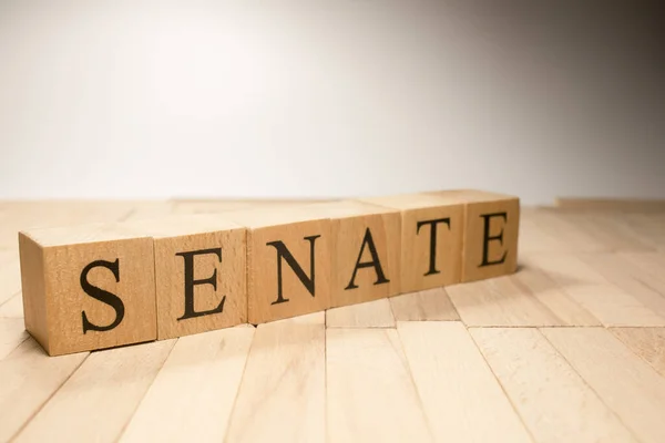 Ordet Senat Skapades Träkuber Regering Och Författning Närbild — Stockfoto