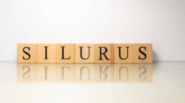 Silurus kelimesi tahta harf küplerinden yaratıldı. Deniz ürünleri ve yiyecek. Kapat..