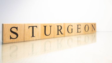 Sturgeon ismi tahta harf küplerinden yaratıldı. Deniz ürünleri ve yiyecek. Kapat..