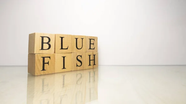 Nombre Blue Fish Fue Creado Partir Cubos Letras Madera Mariscos —  Fotos de Stock