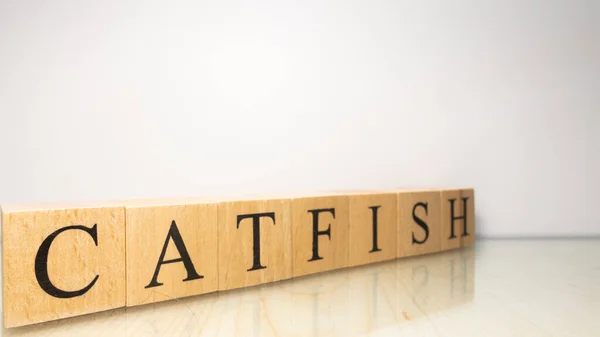 Nombre Catfish Fue Creado Partir Cubos Letras Madera Mariscos Comida —  Fotos de Stock