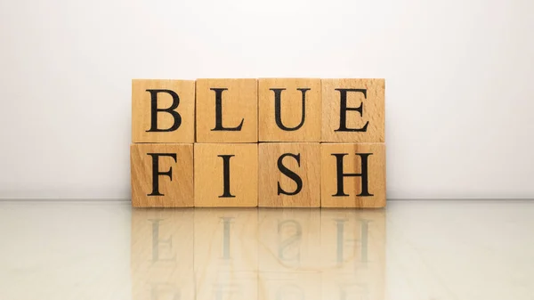 蓝鱼这个名字是由木制字母立方体创造出来的 海鲜和食物 关门了 — 图库照片