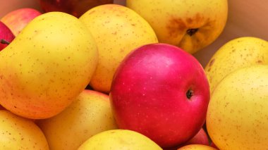 Geçen yılın sarı ve kırmızı elmaları yavaş yavaş soluyor, makro