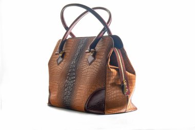 Beyaz arka planda zarif kadın kahverengi timsah derisi çanta.