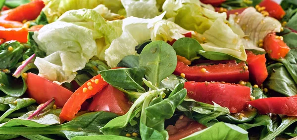 Salada Verde Com Páprica Doce Tomate Luz Dia — Fotografia de Stock
