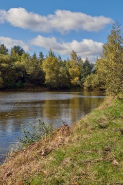 Sonbahar manzarası: Parlak güneşli bir günde bir orman gölü kıyısı